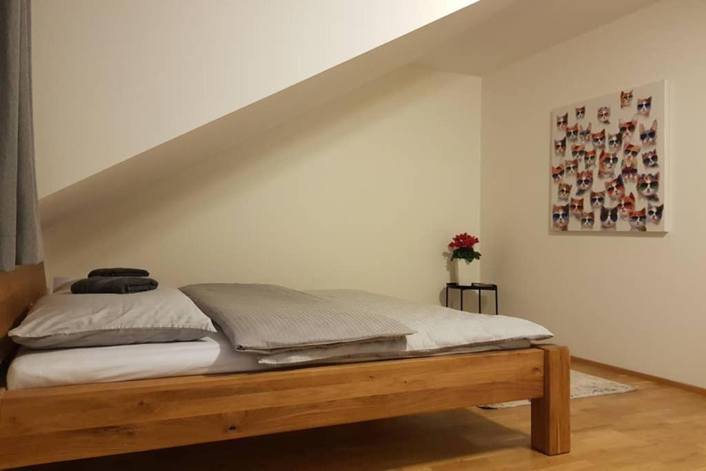 Veritas House 미쿨로프 외부 사진
